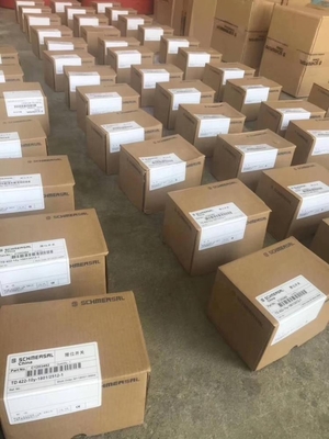 B241200001150 Limit Switch TD422-10y-1801/2512-1 Schmersal for SANY SY5271