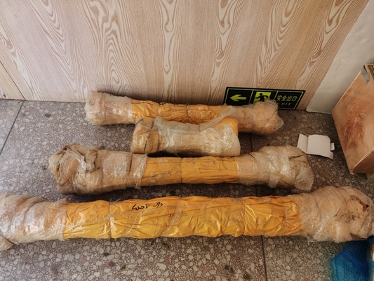 60021293 Shaft, Drive M130-A5B1P6-80  for SANY mobile crane