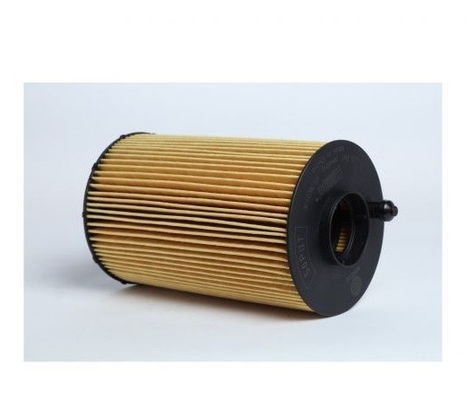 Customized Engine Oil Filter Element 611600070119 61018546