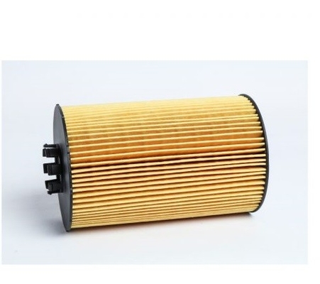 Customized Engine Oil Filter Element 611600070119 61018546